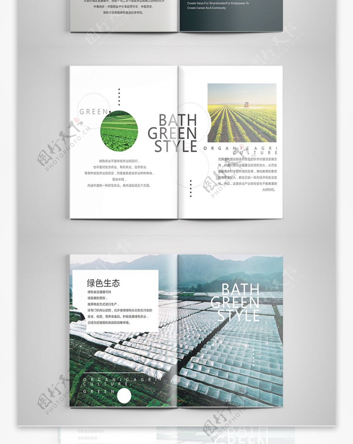 绿色大气农业绿色食品企业画册