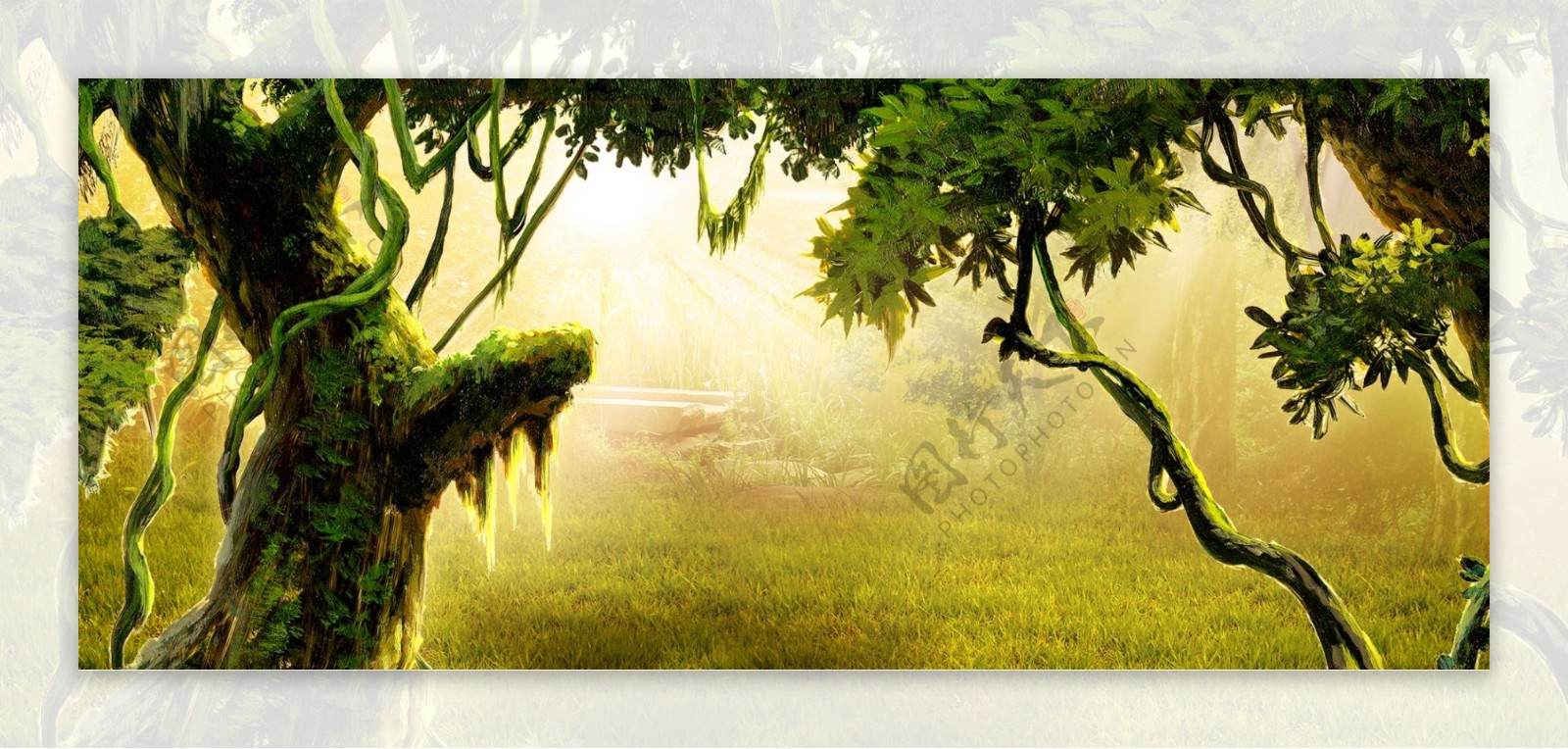 神秘热带森林系banner背景