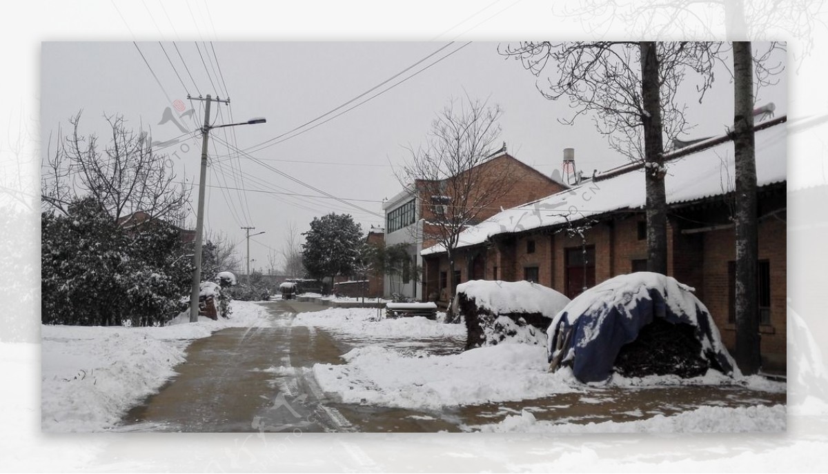乡村道路雪景