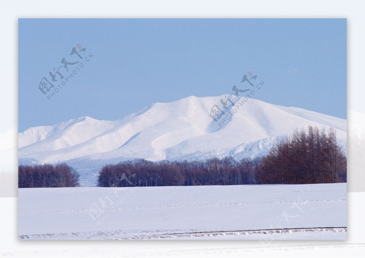 茫茫雪原