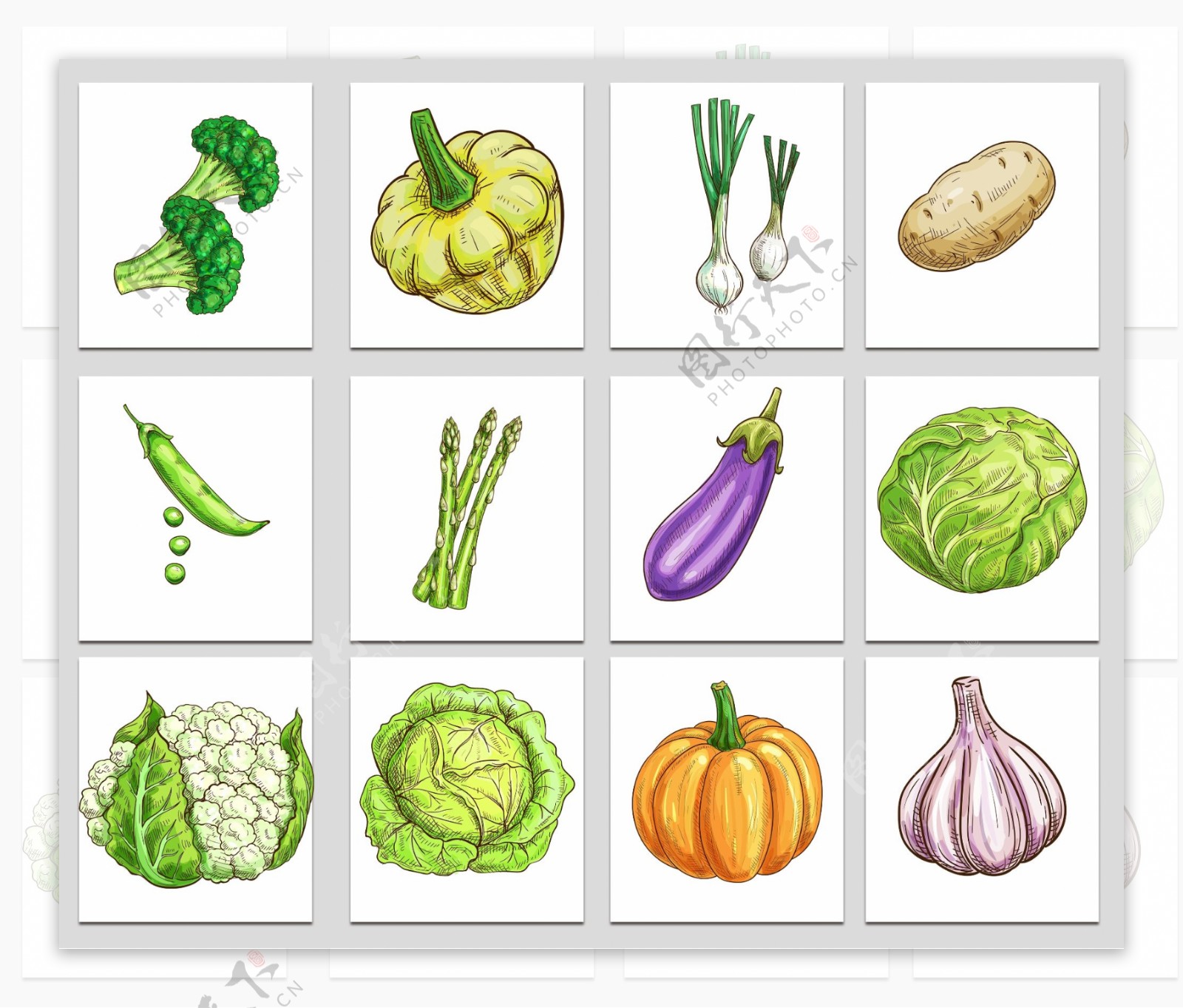 彩色手绘蔬菜png免抠素材