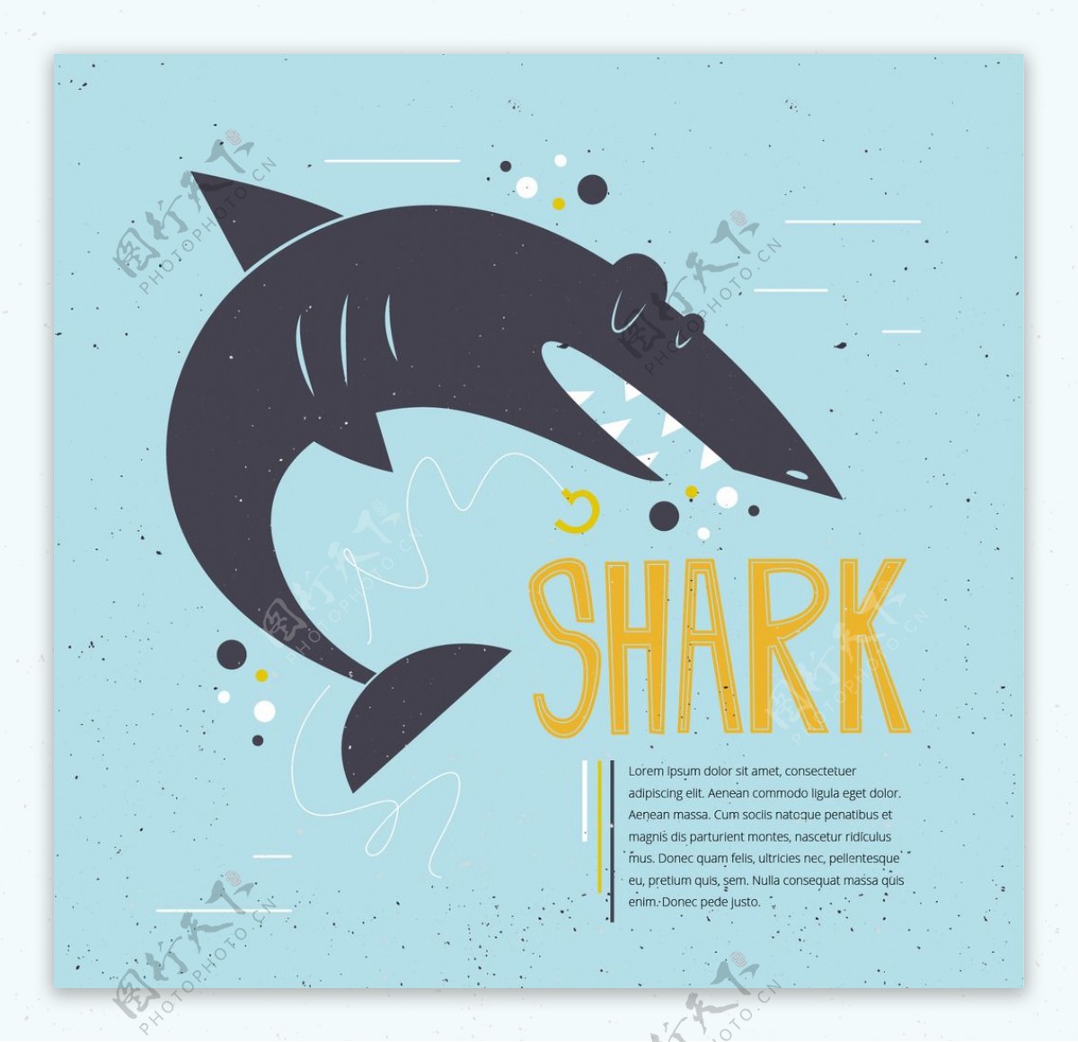 可爱的鲨鱼插图