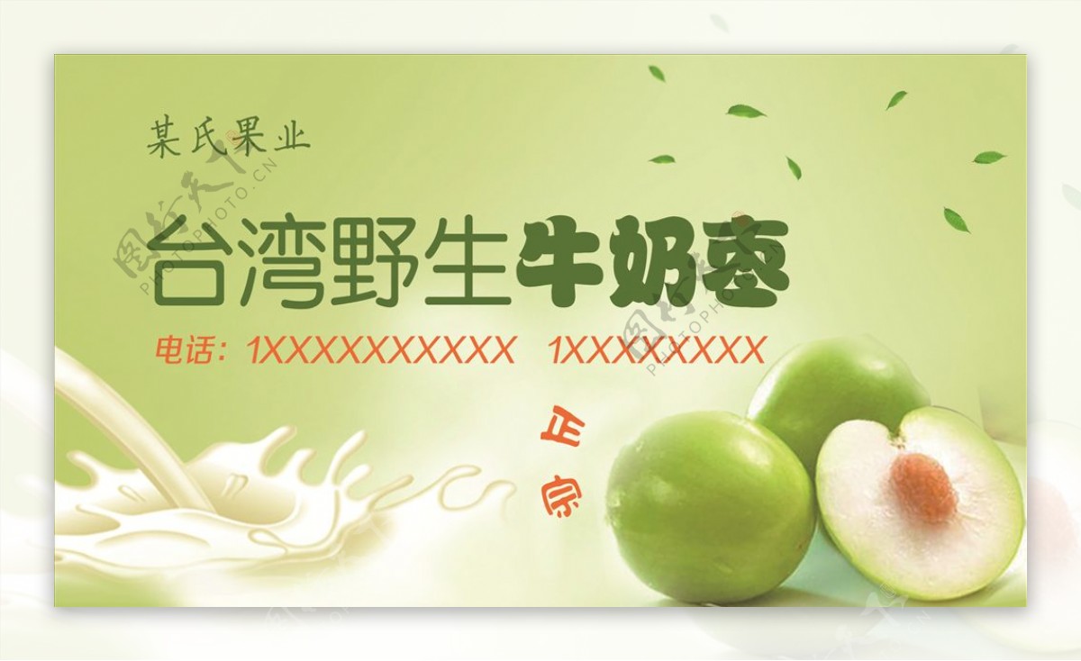 台湾野生牛奶枣