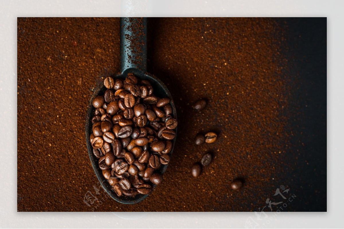 咖啡豆咖啡可可豆可可制品