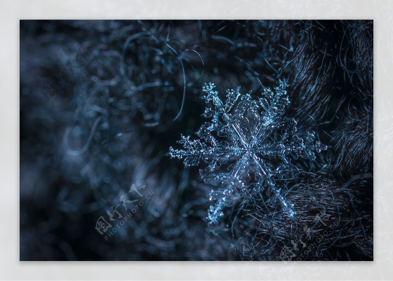 冬季黑色雪花背景图