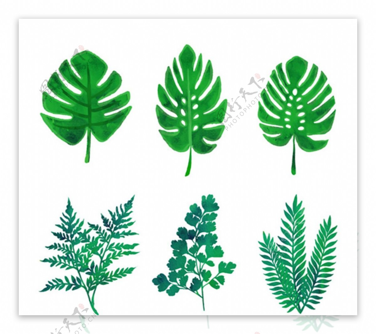 6款绿色植物叶子矢量素材