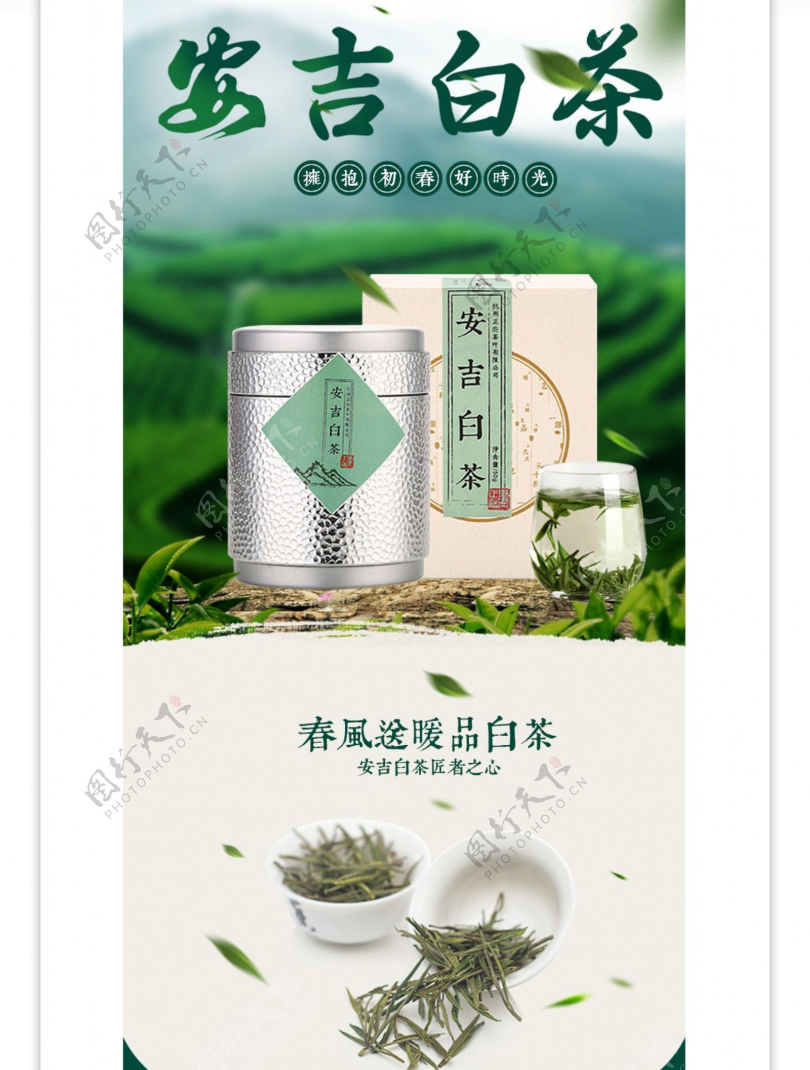 中国风品茗白茶详情页模板