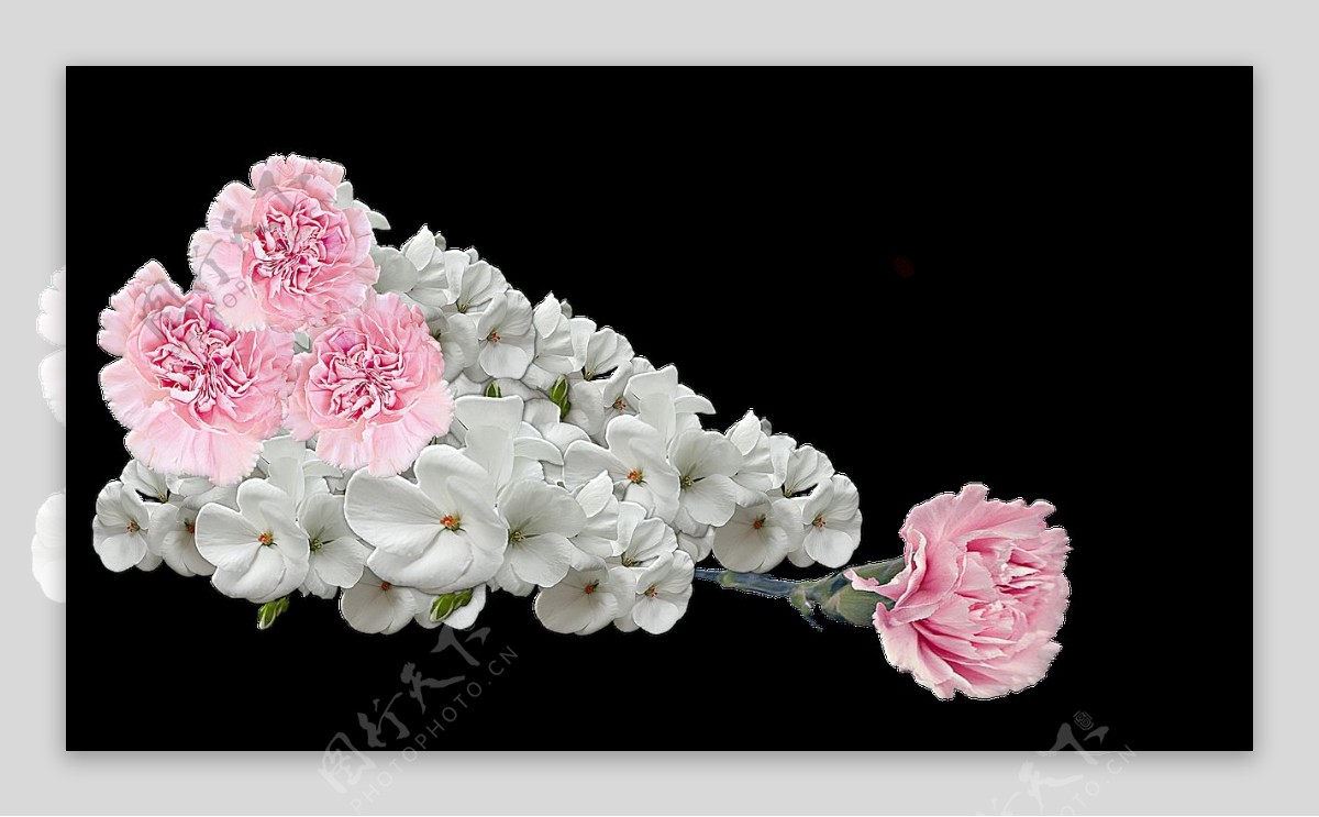 清新白色花朵花束实物元素