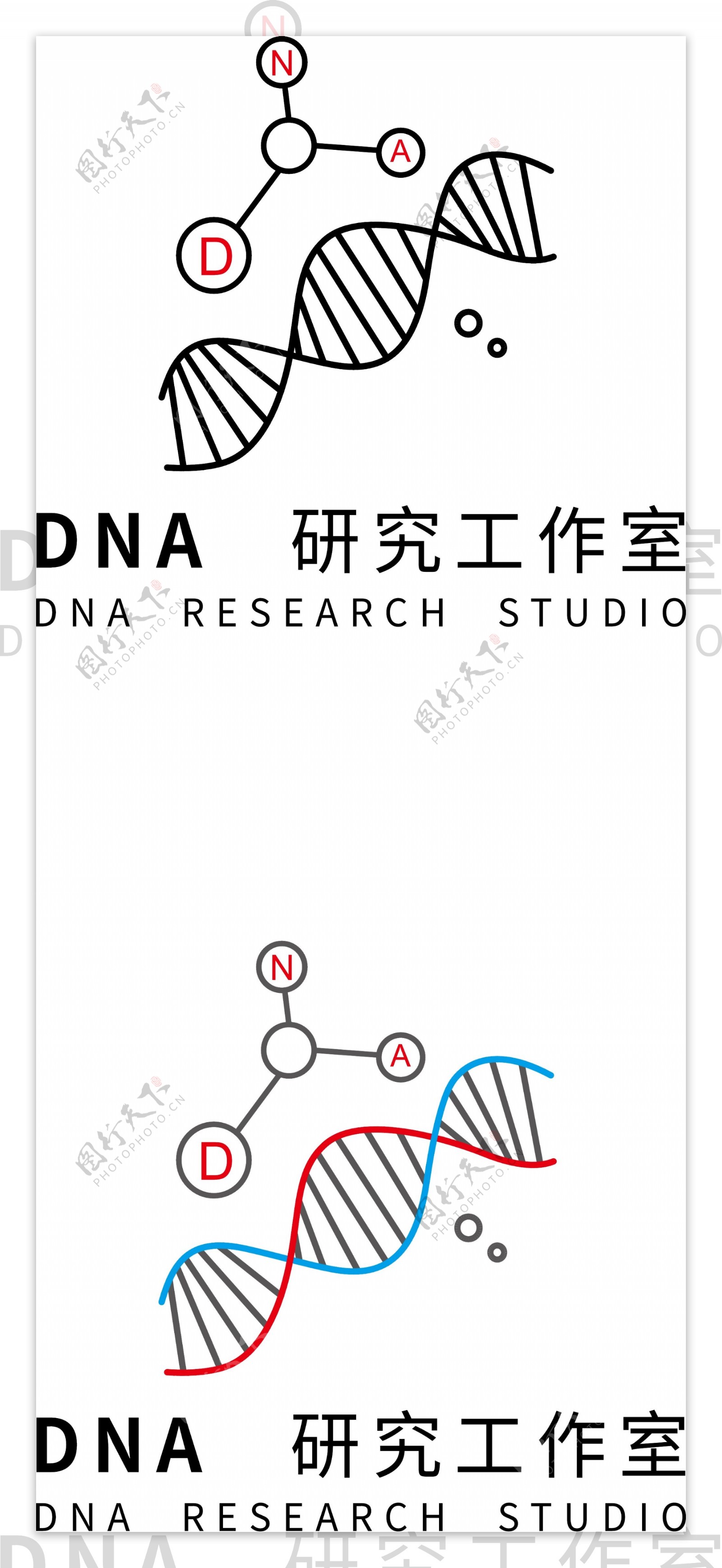 DNA研究工作室