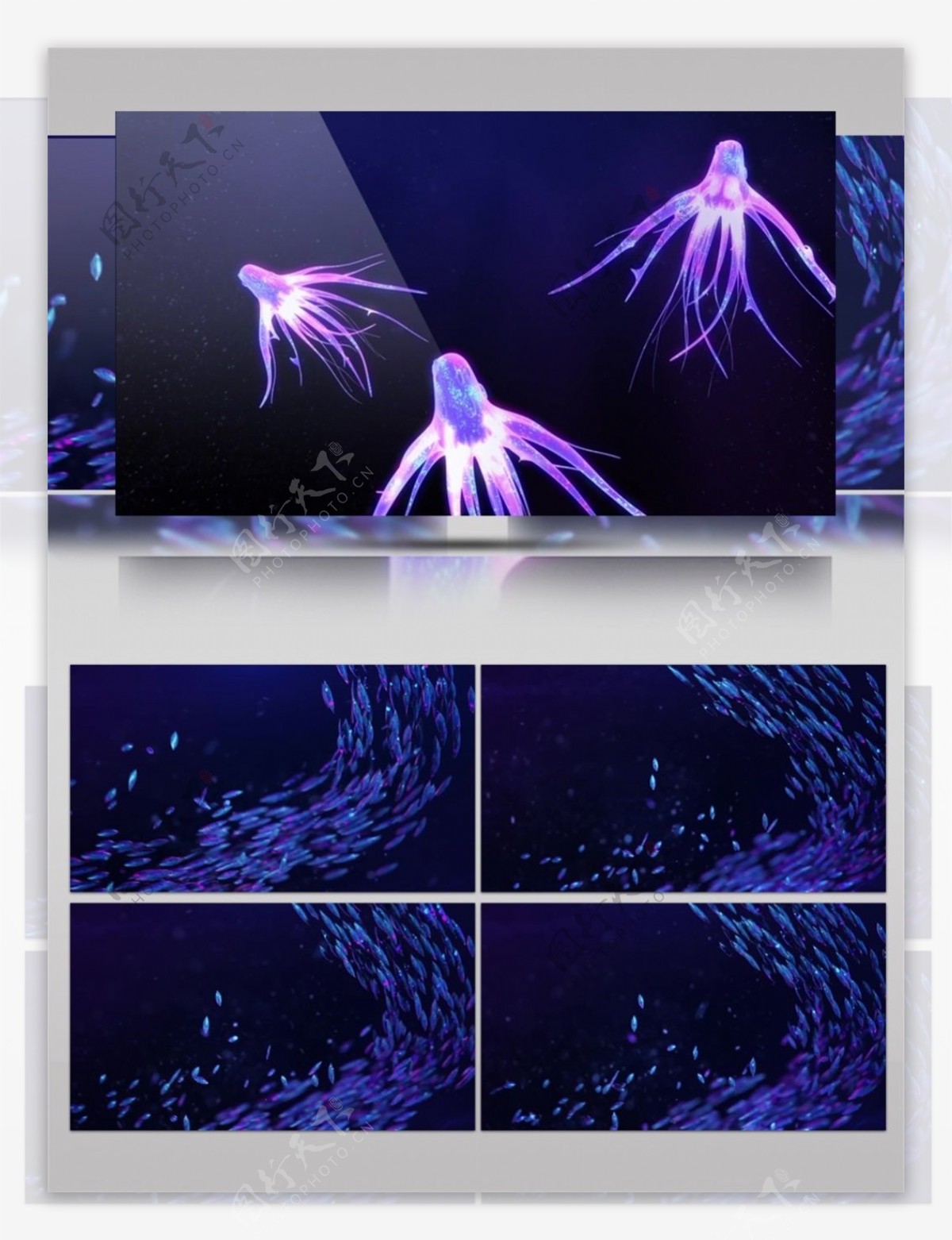 紫色光束水母视频素材