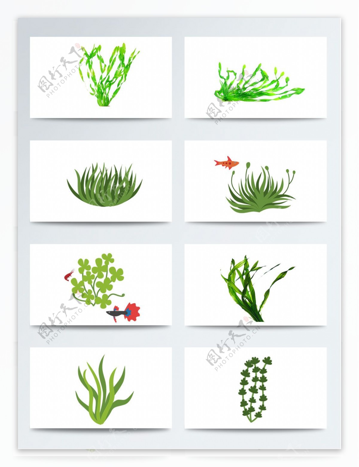 植物叶子绿色卡通飘动的水草叶PNG元素