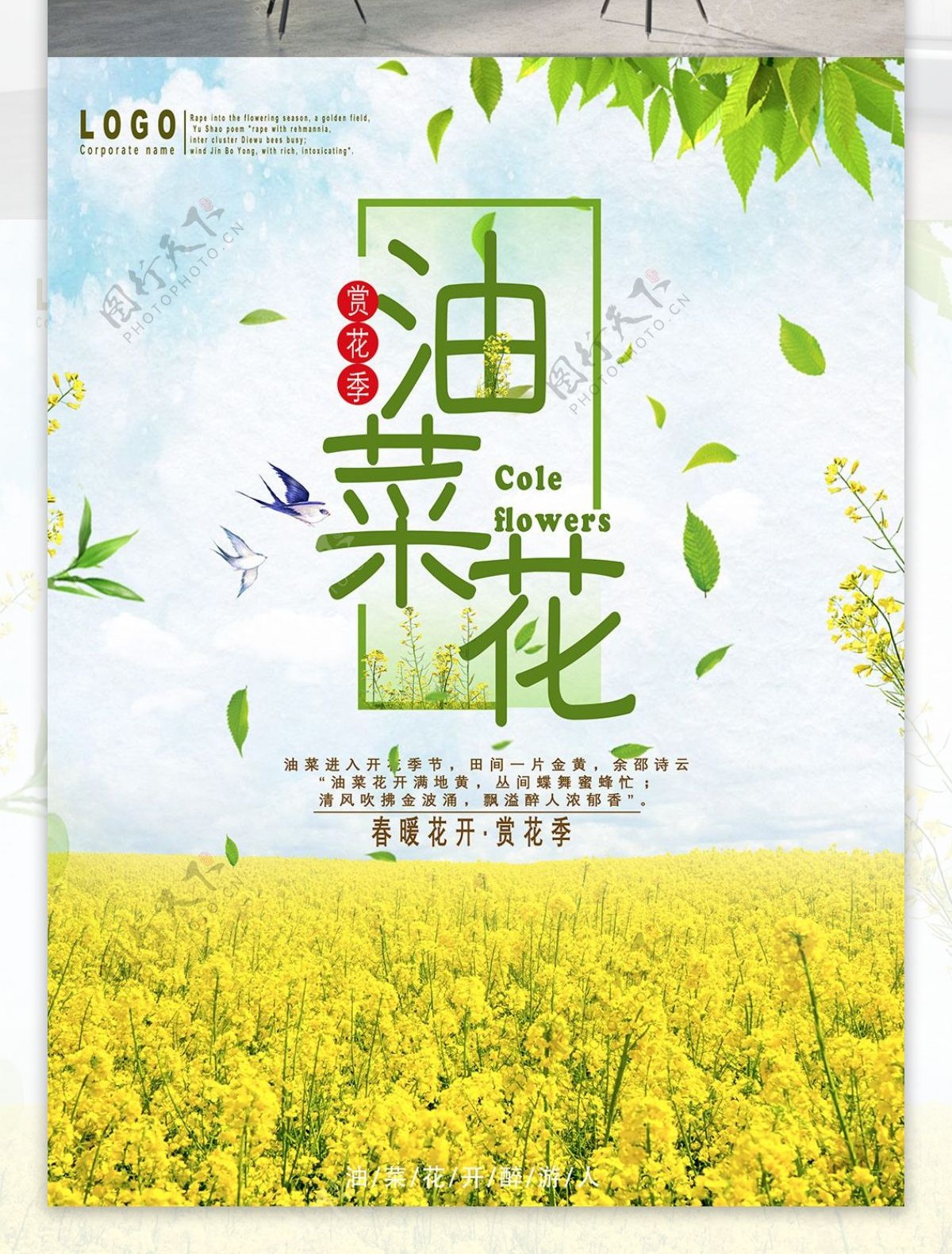简约清新油菜花赏花季海报