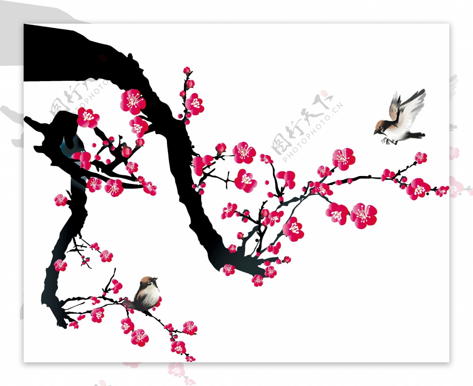 手绘梅花与鸟的元素