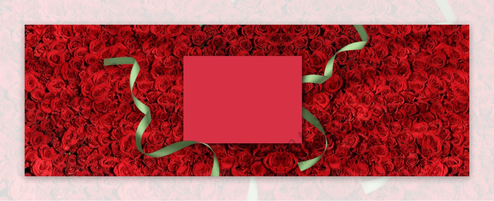 红色玫瑰花情人节banner背景