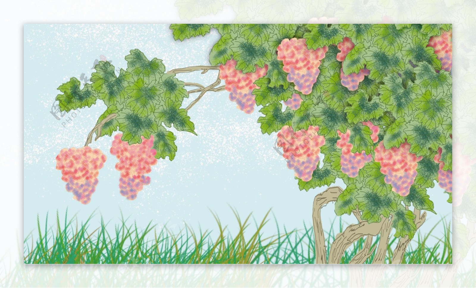 彩绘葡萄树背景素材