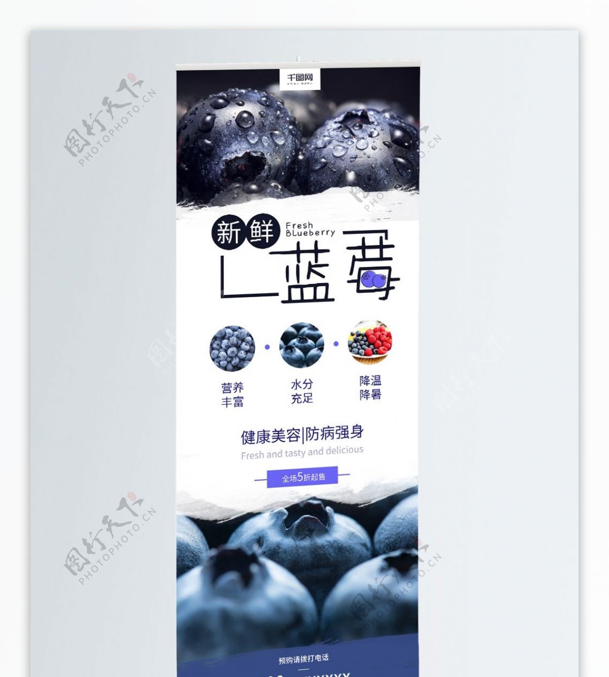 新鲜蓝莓水果上市促销宣传展架