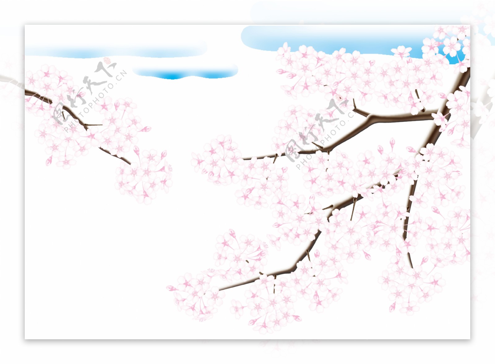 粉色樱花树枝装饰素材