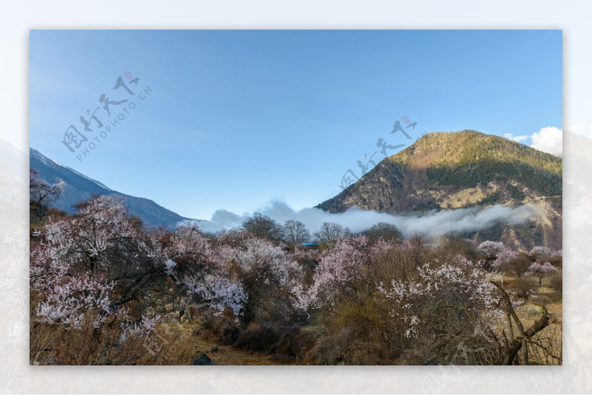 西藏林芝美景