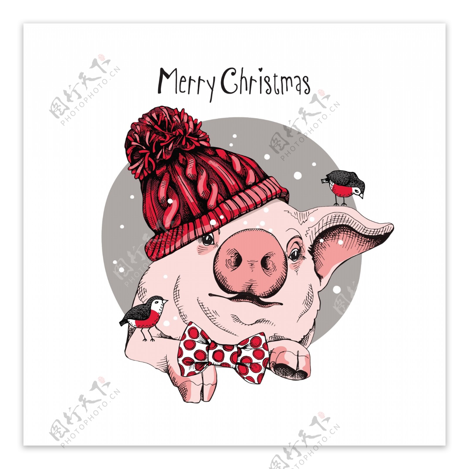 粉红小猪圣诞素材卡通小猪