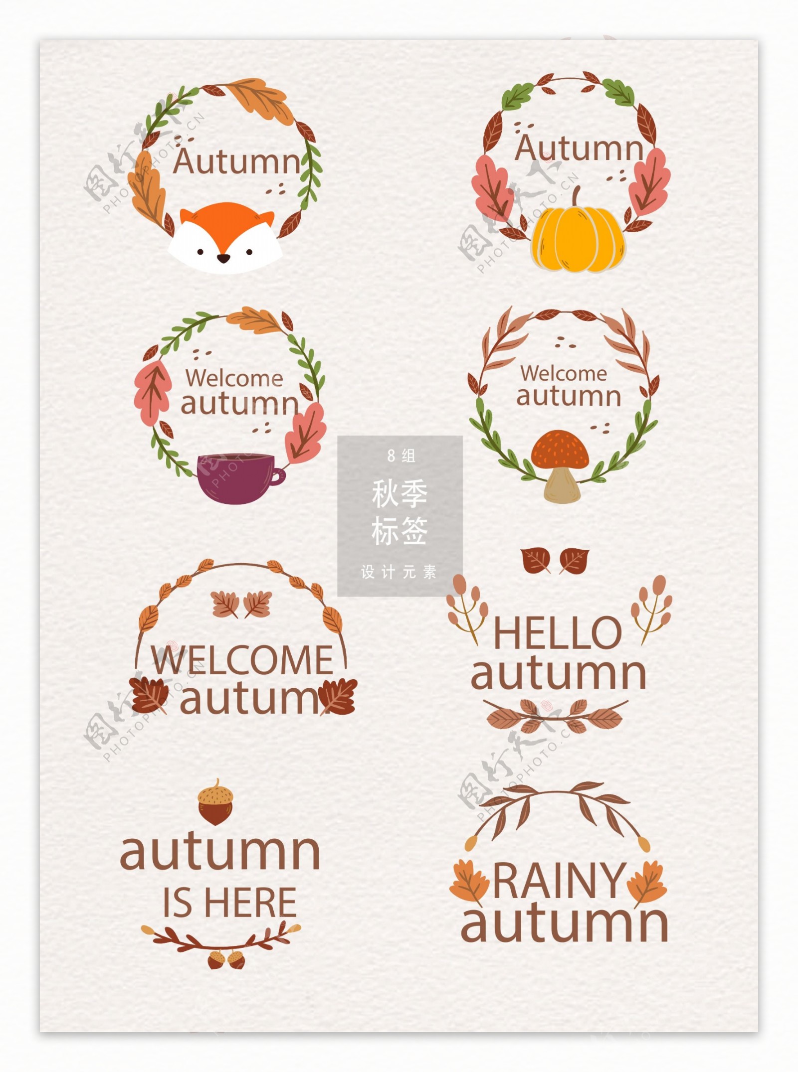 创意时尚秋季秋天标签设计元素