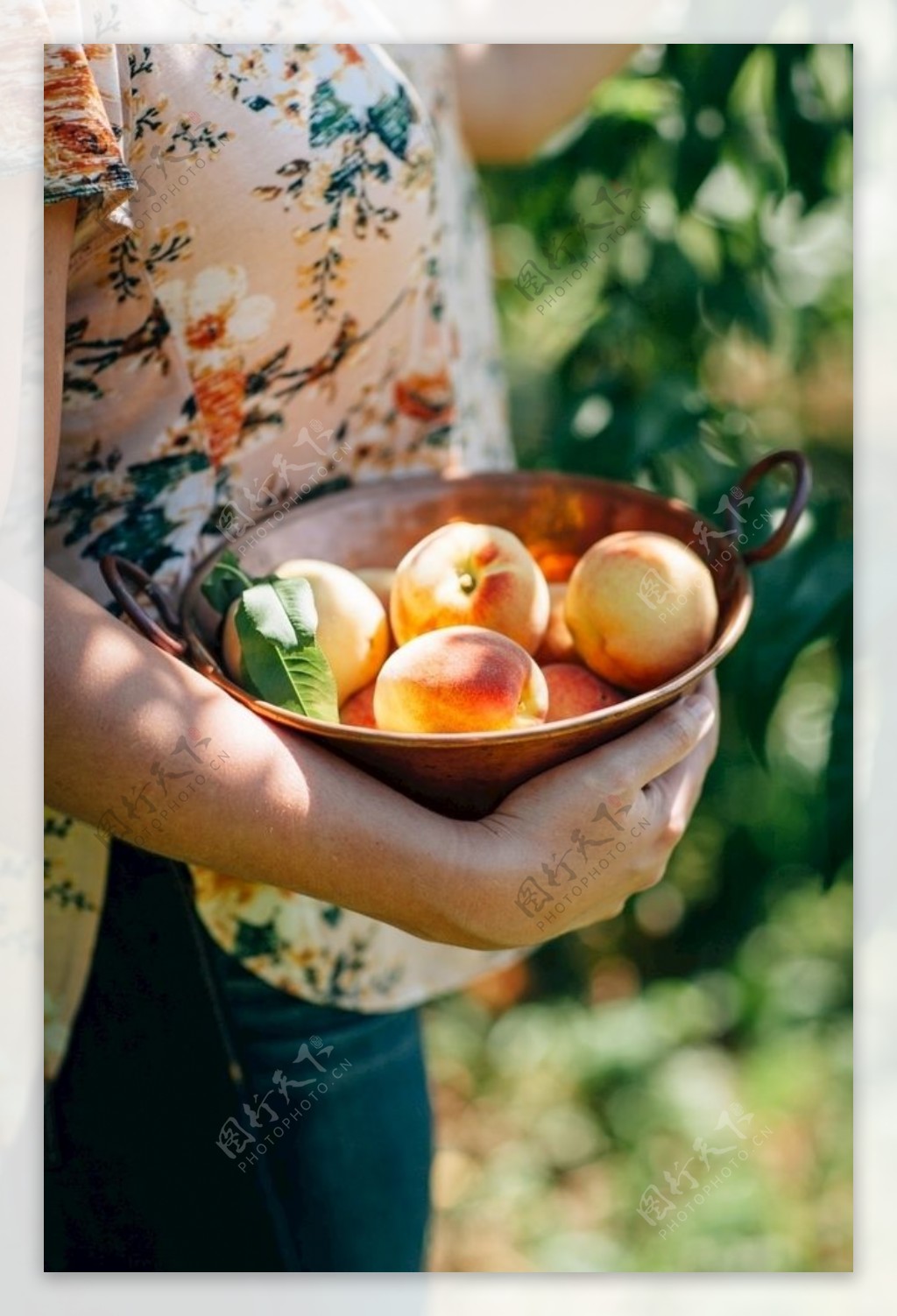 新鲜桃子高清水果摄影