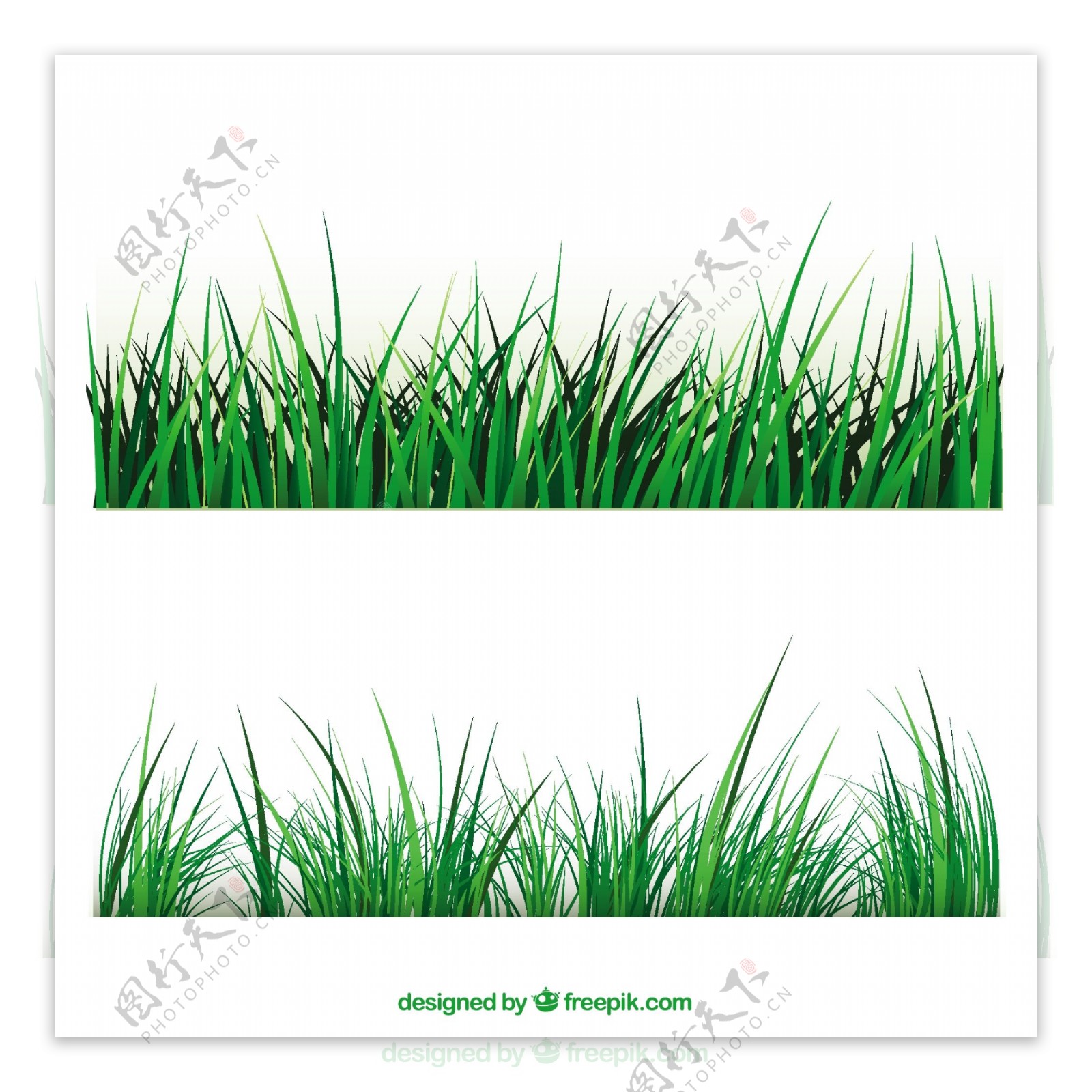 春天绿色草坪