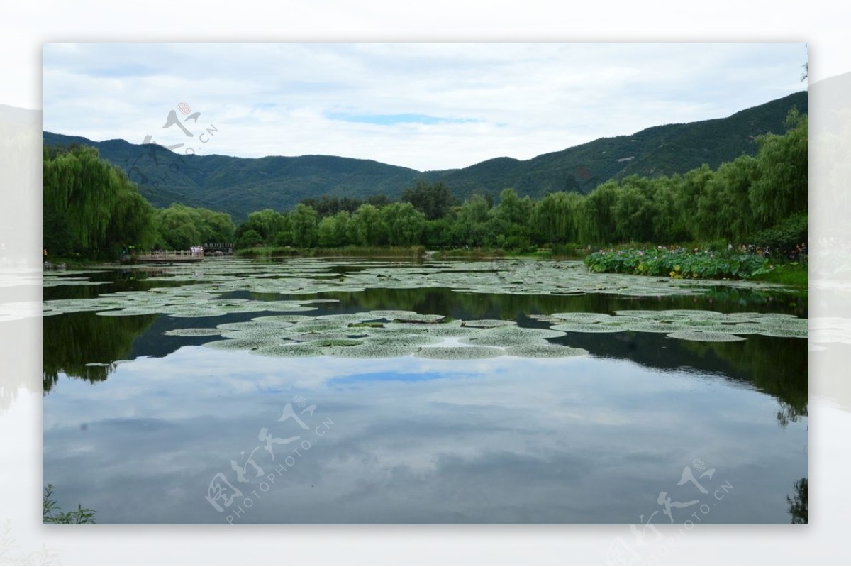 植物园风景