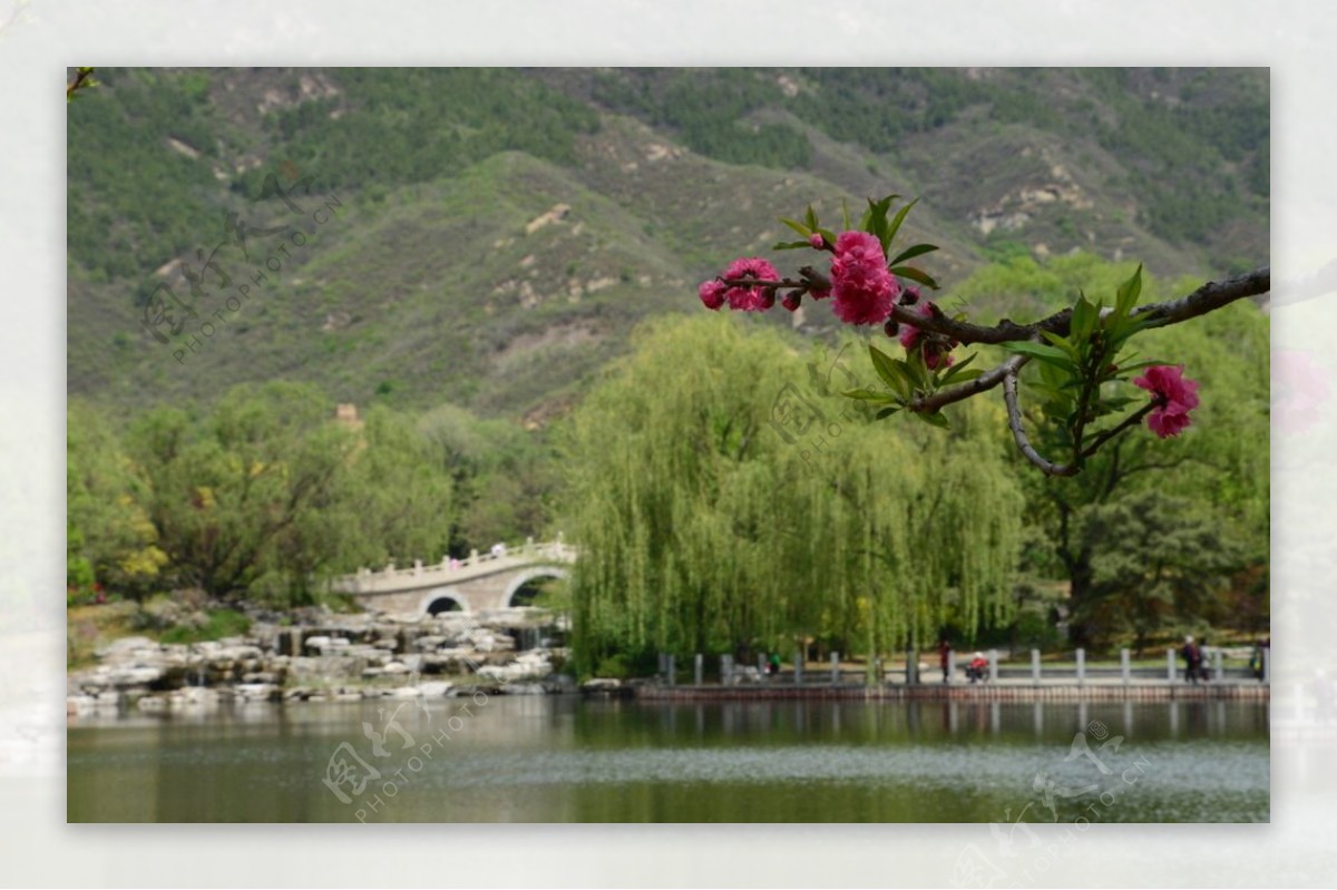 植物园风景