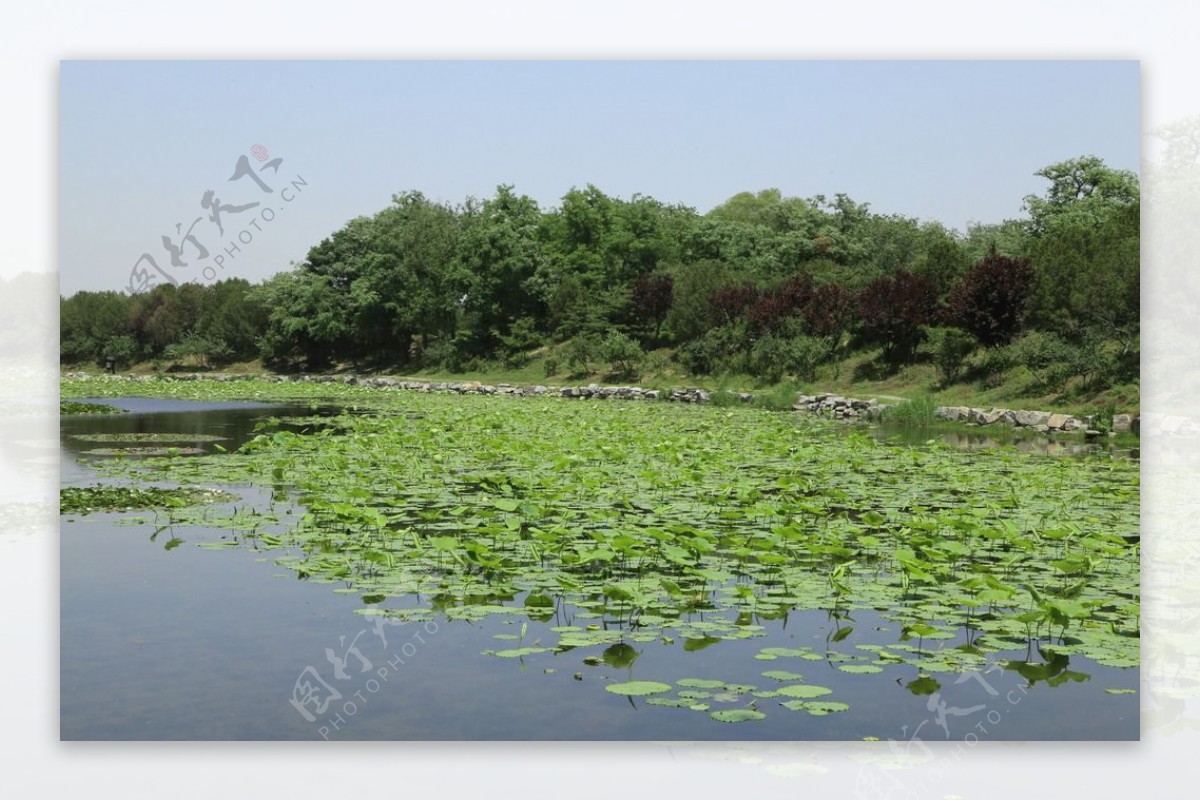 圆明园风景