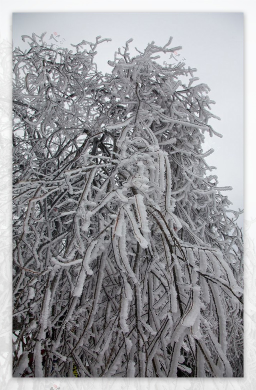 长沙岳麓山雪景