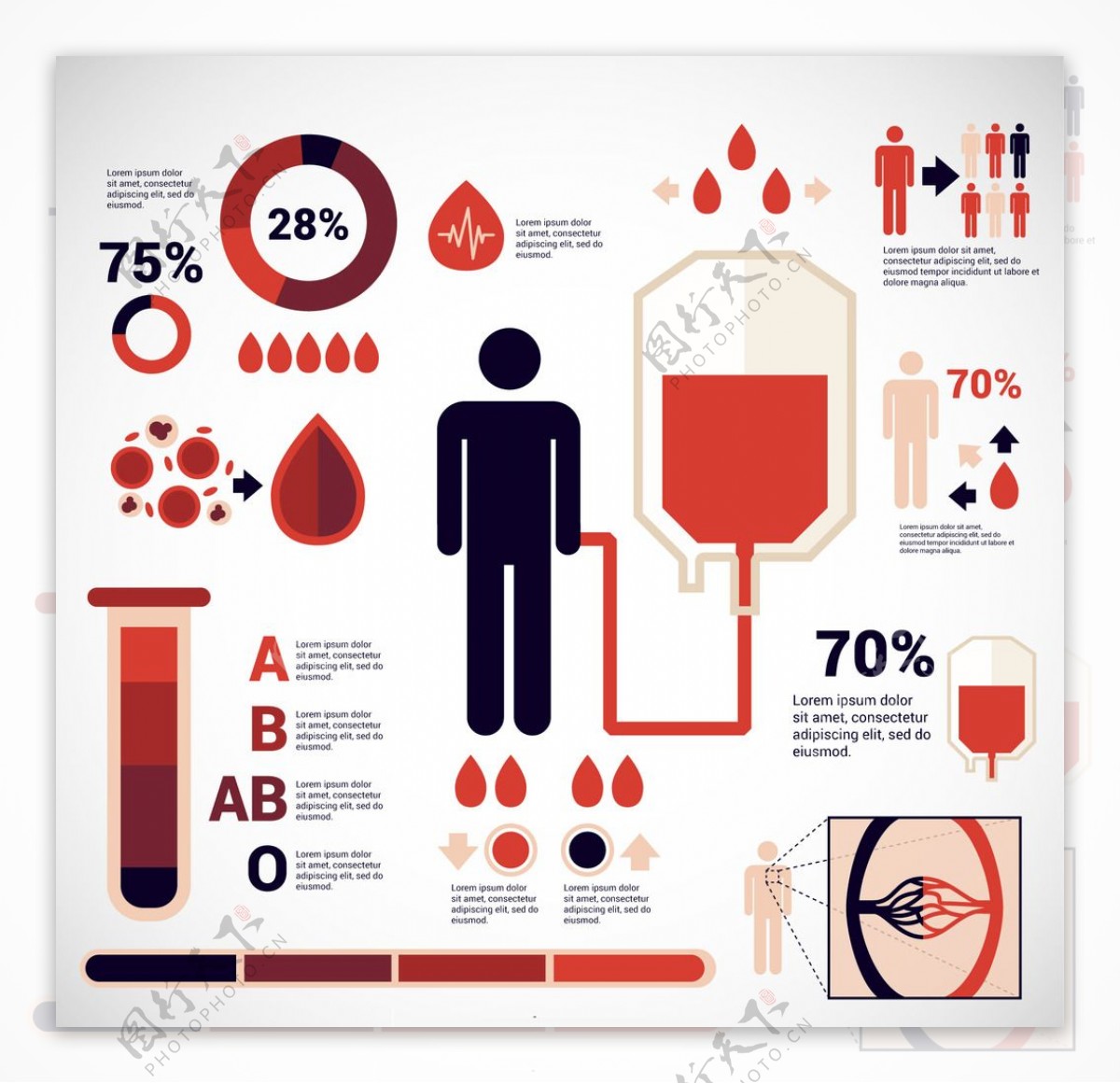 献血信息图表