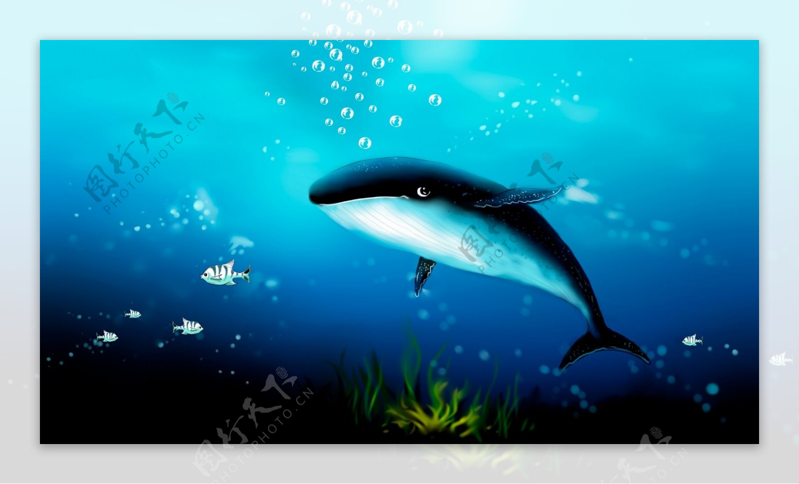 深海鲸鱼插画蓝色背景图