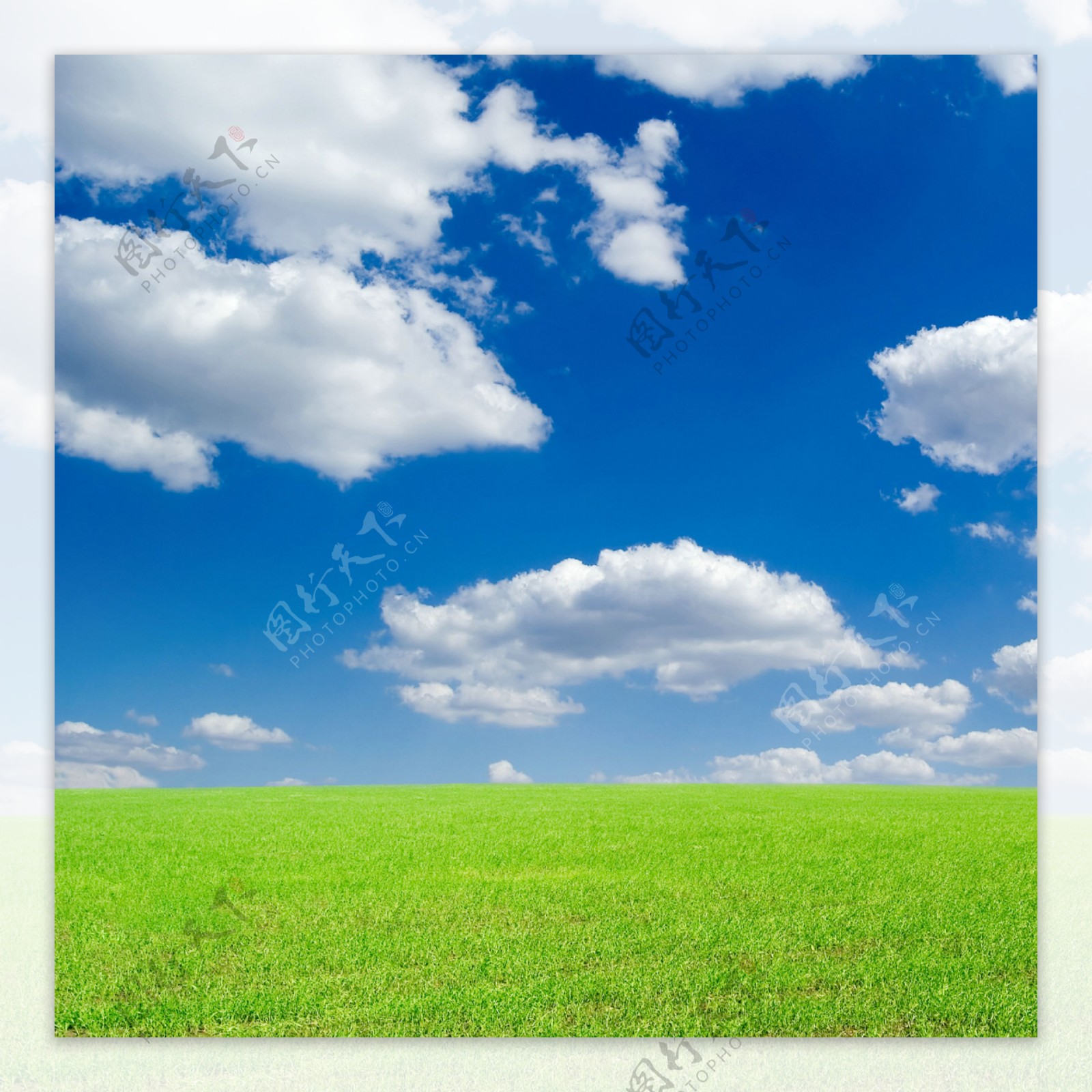 蓝天白云下的草地