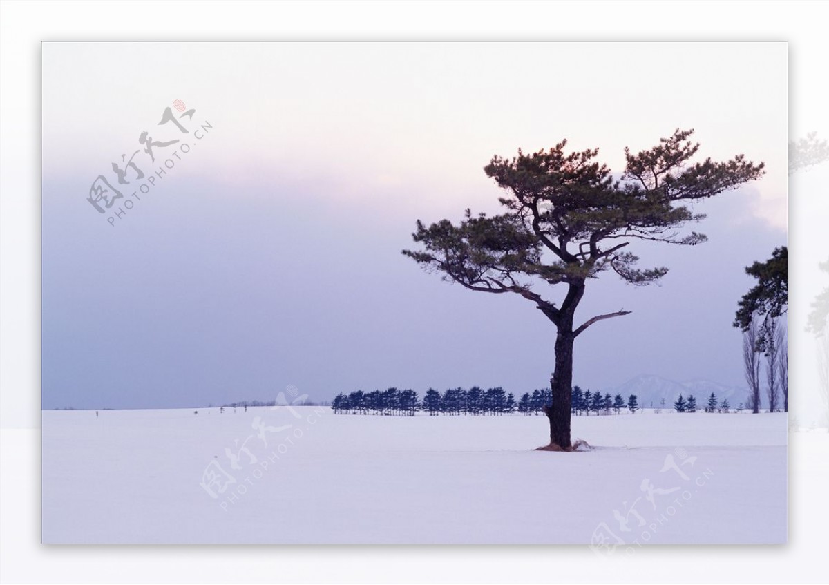 冬天雪景