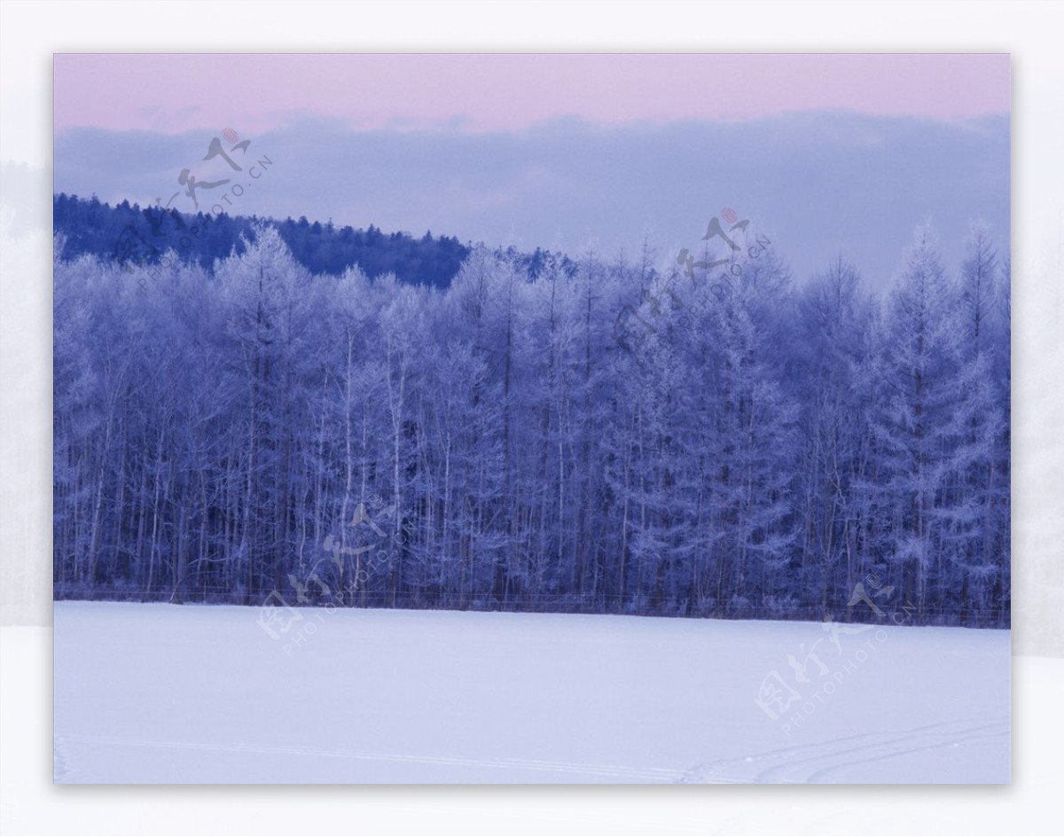 冬天雪景