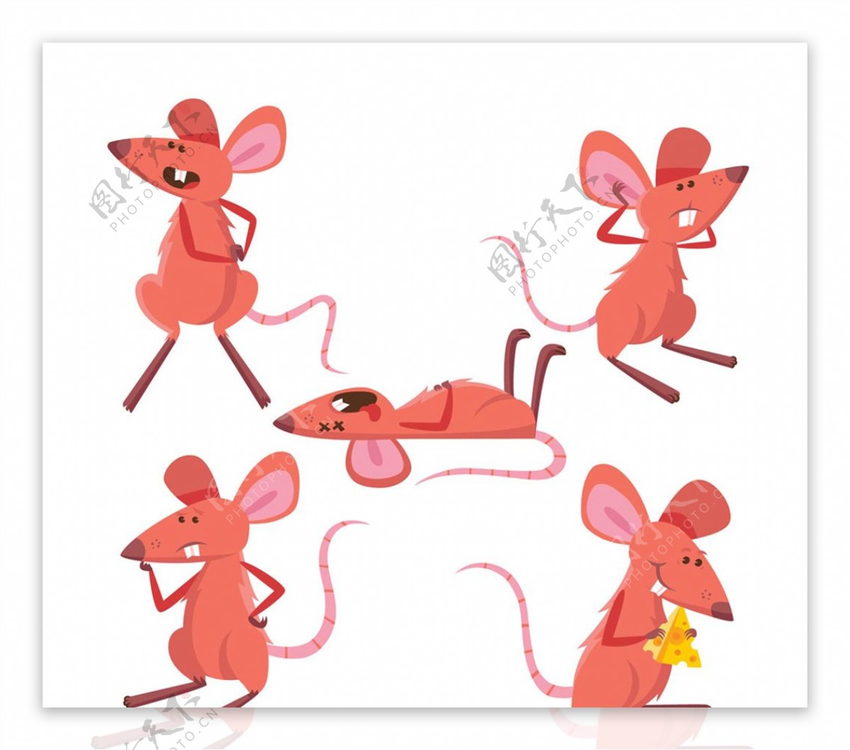 5款红色老鼠设计