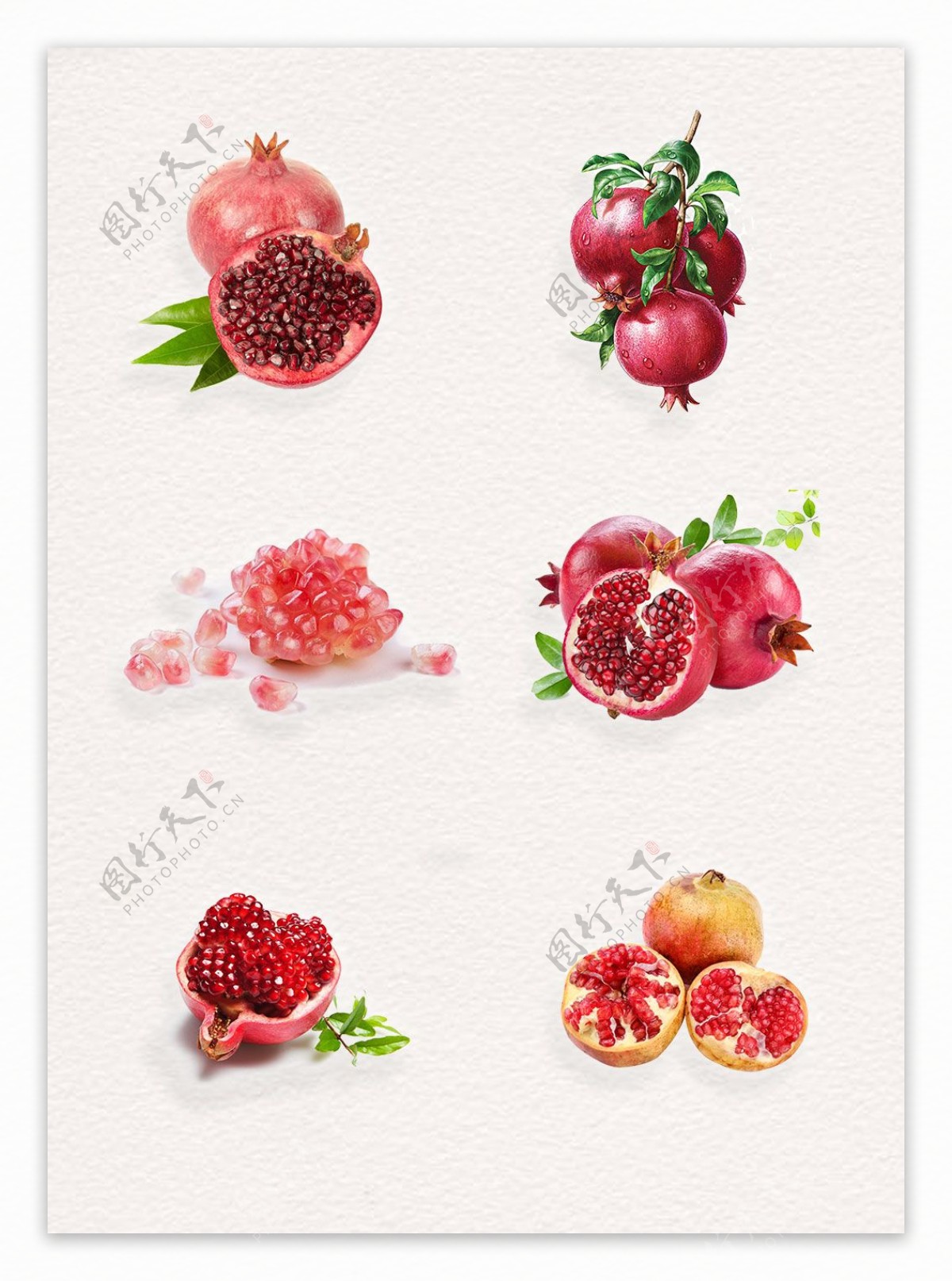 红色新鲜石榴水果植物