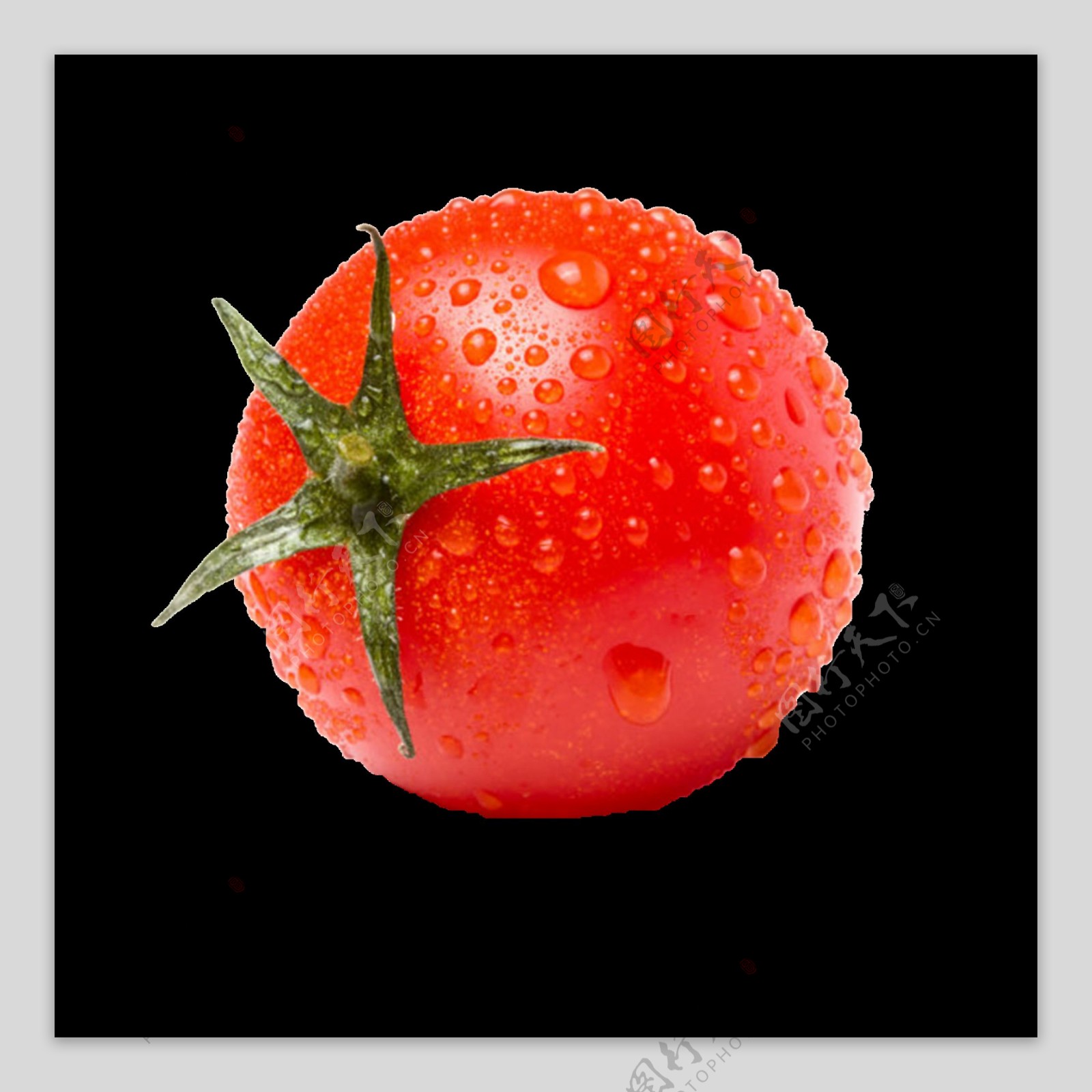 产品实物红色圣女果小番茄