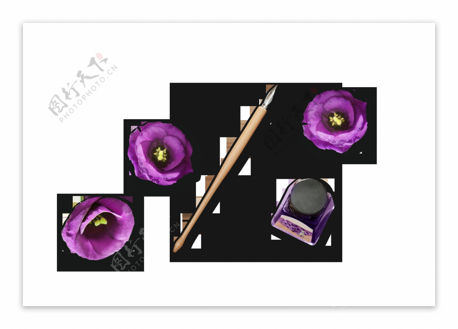 紫色唯美花朵装饰素材