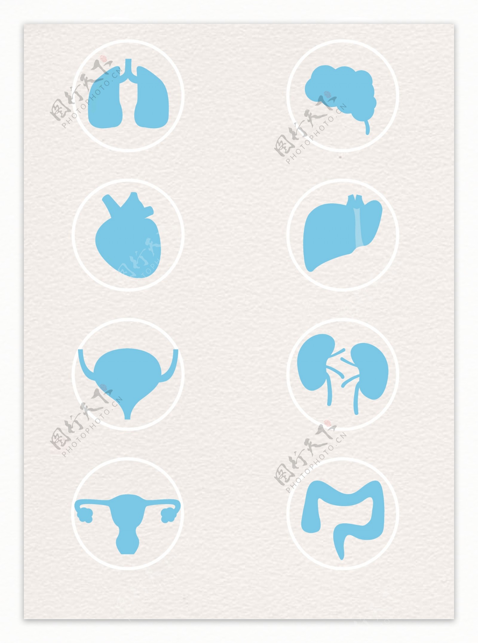 6款蓝色简洁人体器官图标素材