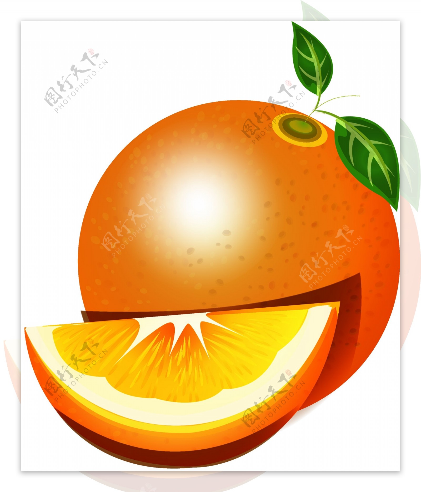 卡通水果血橙矢量元素
