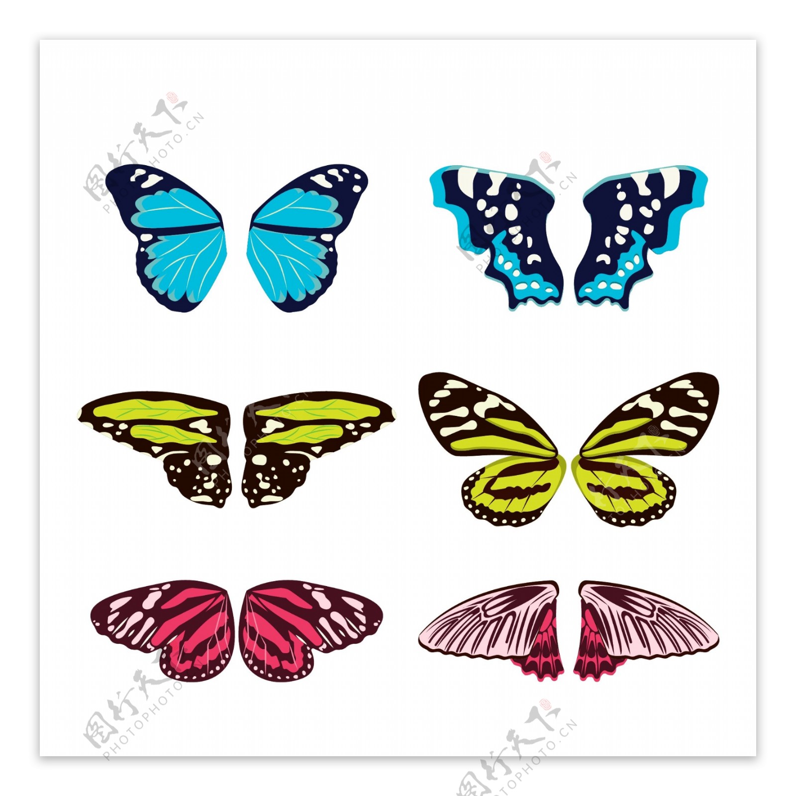美丽的卡通可爱的手绘彩色蝴蝶翅膀图片_其他_海报-图行天下素材网