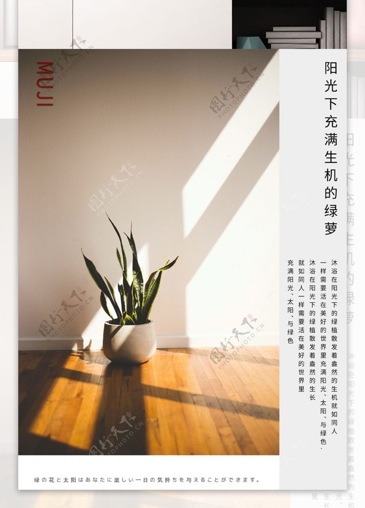 MUJI风极简性冷淡风绿萝植物海报