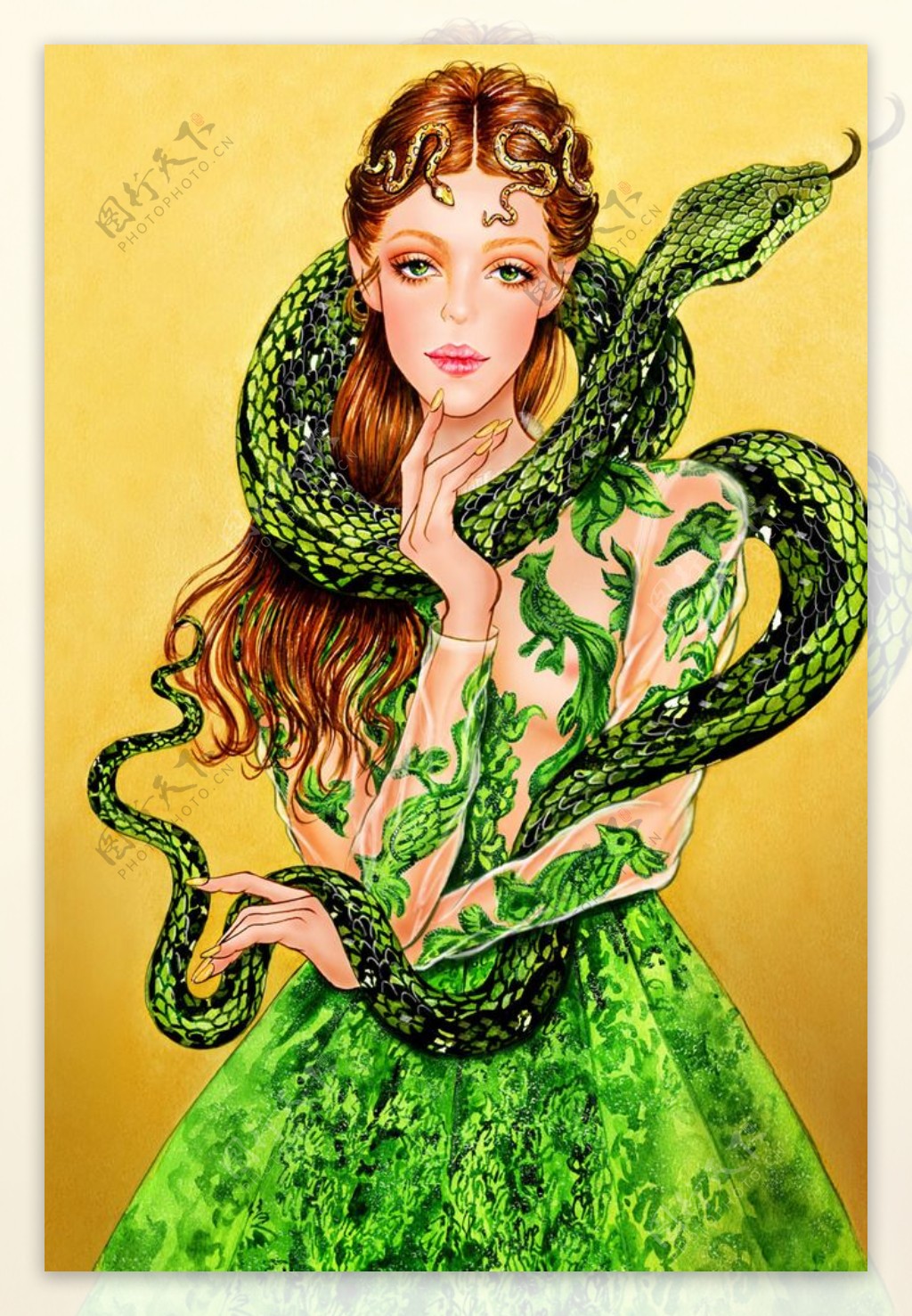 美女与蛇