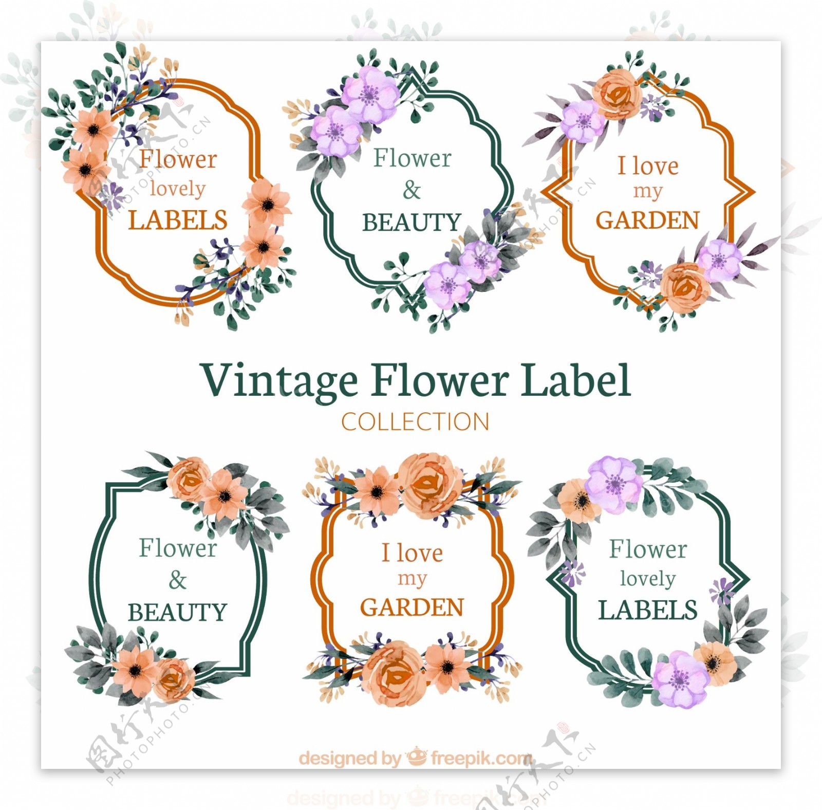 复古花卉装饰标签矢量素材