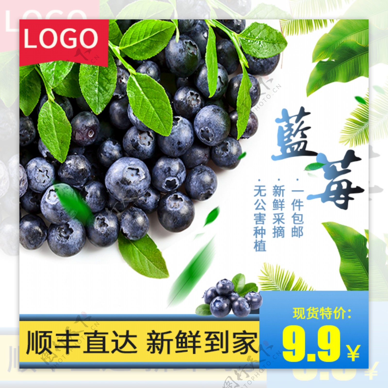 电商淘宝蓝莓水果生鲜主图直通车