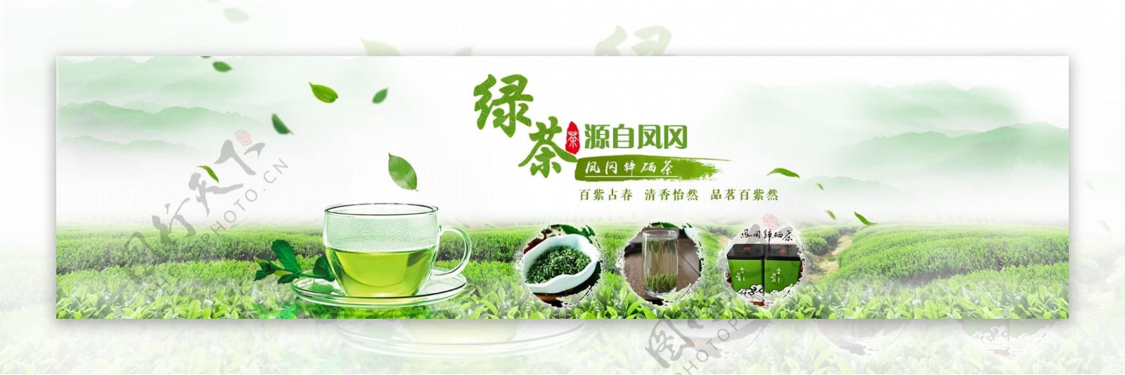 绿茶叶子淘宝海报banner
