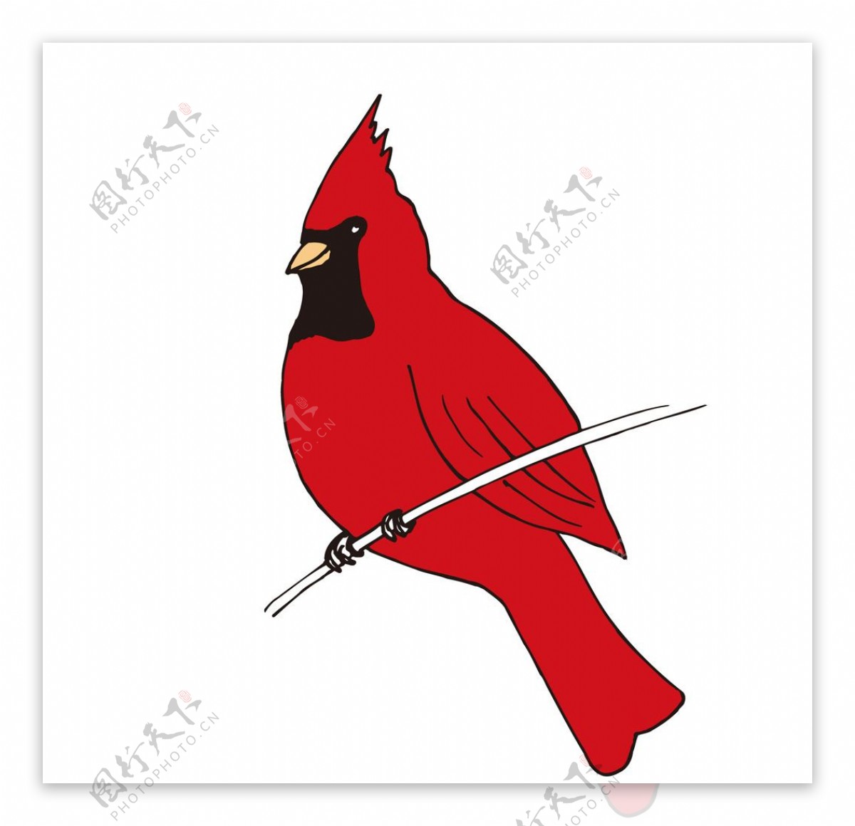 水珠 滴落 皮肤 闪耀 泳池光影 呈现 独特 风情 让人 目不转睛