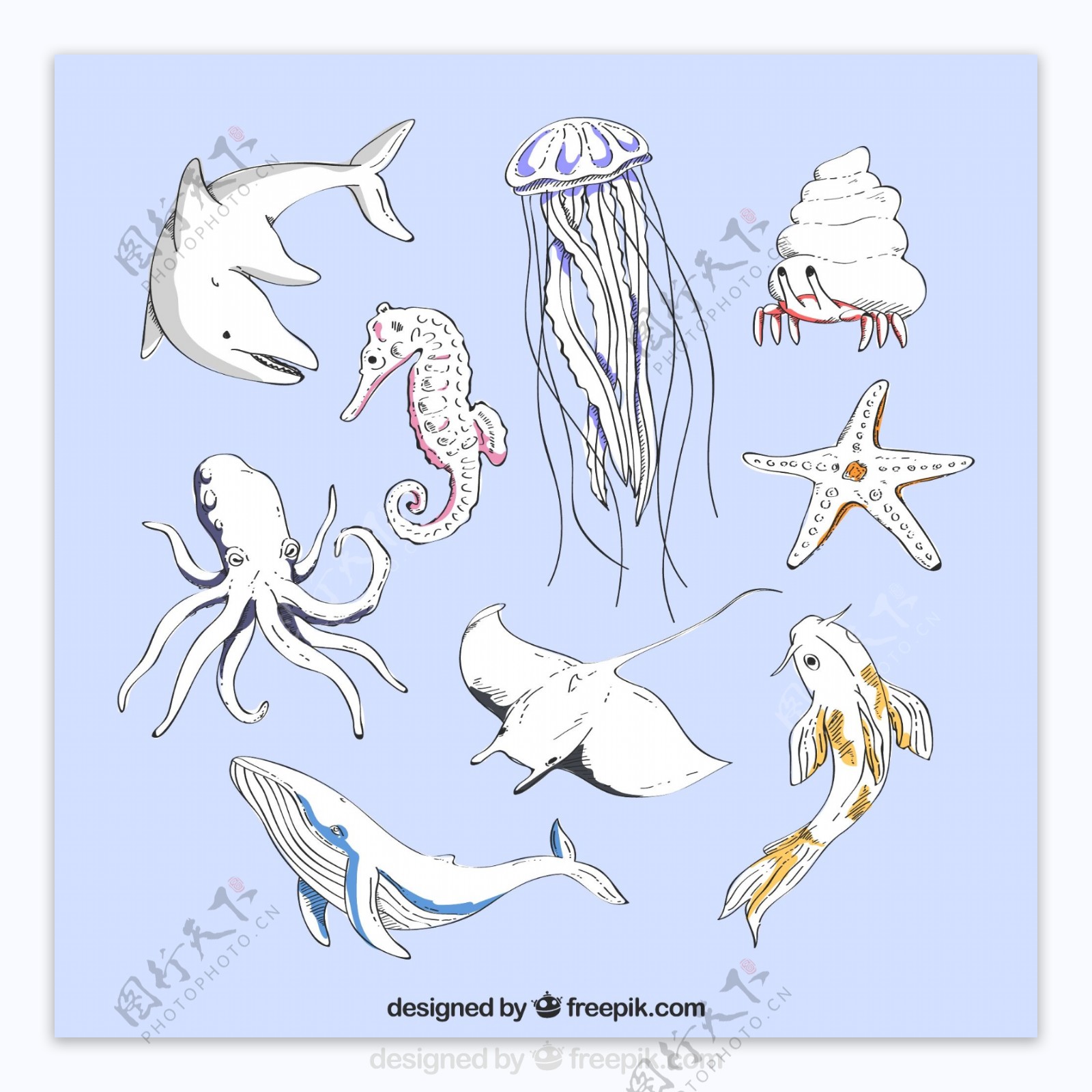 9款手绘海洋动物设计矢量素材