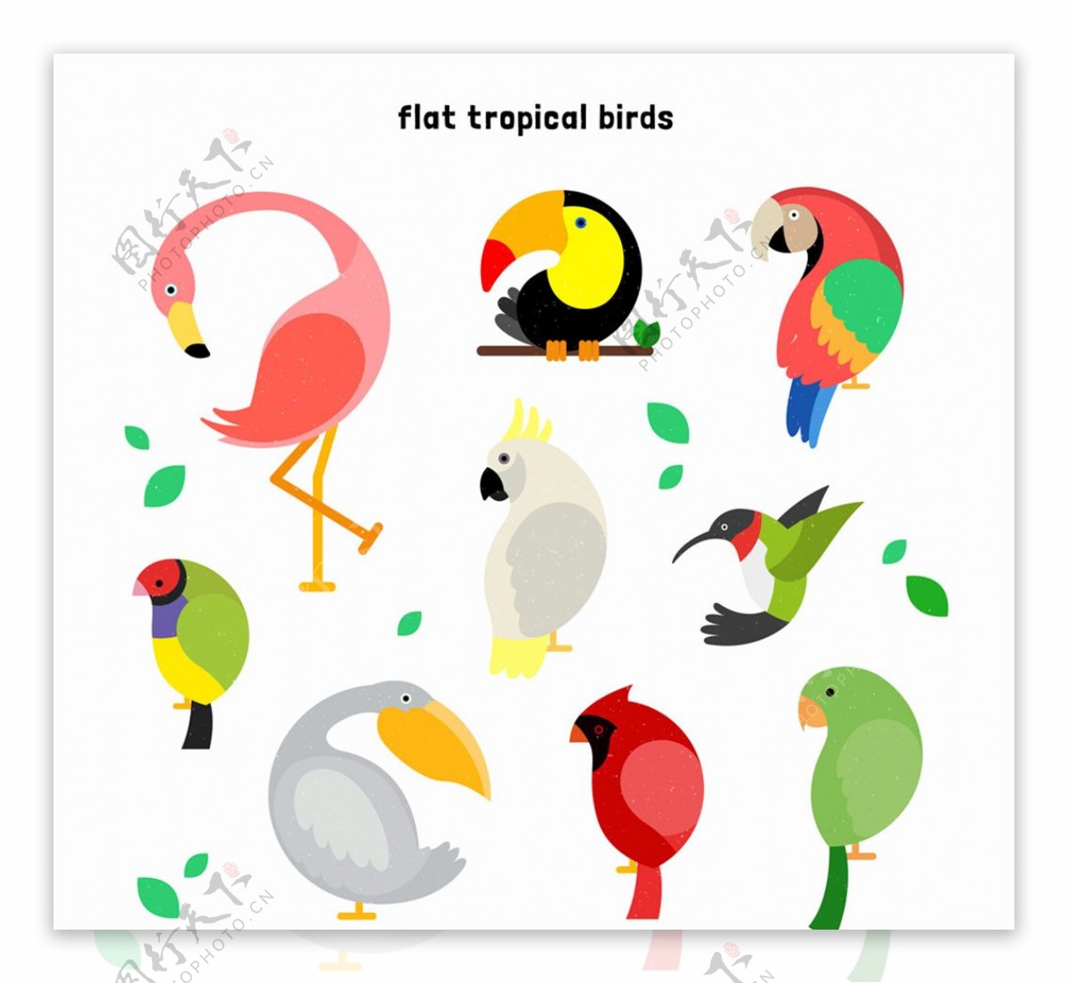 9款彩色鸟类设计矢量素材